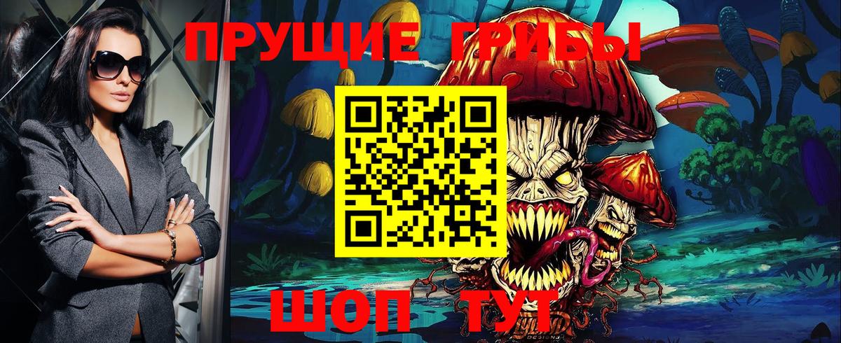 Георгиевск  Псилоцибиновые грибы мицелий  Вход с VPN  где продают наркотики  Галлюциногенные грибы Psilocybe 